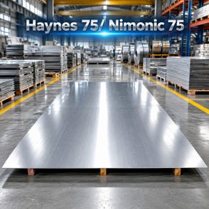 Haynes 75/Nimonic 75