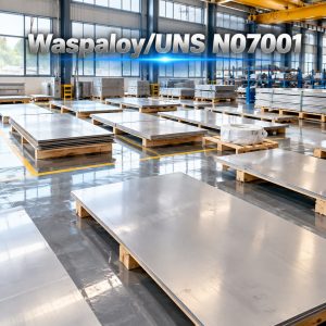 Waspaloy/UNS N07001